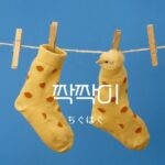 韓国語で「ちぐはぐ」とは？【짝짝이】意味を勉強しよう！