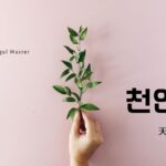 韓国語で「天然」とは?【천연】意味を勉強しよう!