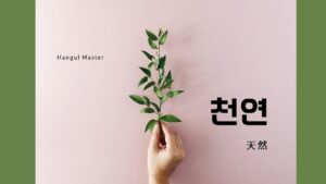 韓国語で「天然」とは？【천연】意味を勉強しよう！