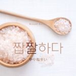 韓国語で「やや塩辛い」とは?【짭짤하다】意味を勉強しよう!