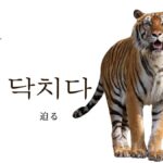 韓国語で「迫る」とは？【닥치다】意味を勉強しよう！
