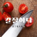 韓国語で「包丁を入れる」とは?【칼질하다】意味を勉強しよう!