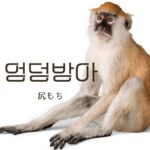 韓国語で「尻もち」とは?【엉덩방아】意味を勉強しよう!