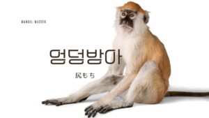 韓国語で「尻もち」とは？【엉덩방아】意味を勉強しよう！
