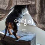 韓国語で「お尻」とは?【엉덩이】意味を勉強しよう!
