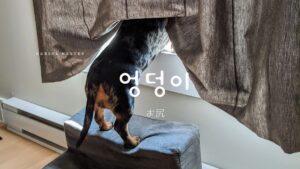 韓国語で「お尻」とは？【엉덩이】意味を勉強しよう！