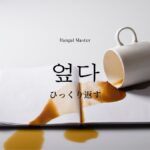 韓国語で「ひっくり返す」とは?【엎다】意味を勉強しよう!
