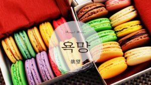 韓国語で「欲望」とは？【욕망】意味を勉強しよう！