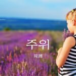 韓国語で「周囲」とは?【주위】意味を勉強しよう!