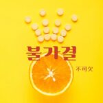 韓国語で「不可欠」とは?【불가결】意味を勉強しよう!
