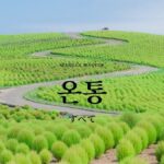 韓国語で「すべて」とは?【온통】意味を勉強しよう!