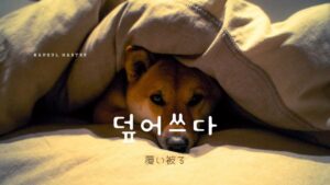 韓国語で「被る」とは?【덮어쓰다】意味を勉強しよう!