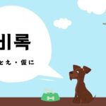 韓国語で「たとえ」とは?【비록】意味を勉強しよう!