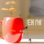 韓国語で「態勢」とは?【태세】意味を勉強しよう!