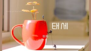 韓国語で「態勢」とは?【태세】意味を勉強しよう!