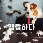 韓国語で「やっかいだ」とは?【맹랑하다】意味を勉強しよう!