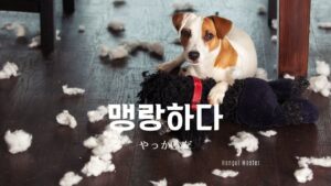 韓国語で「やっかいだ」とは？【맹랑하다】意味を勉強しよう！