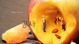韓国語で「工事」とは？【공사】意味を勉強しよう！