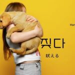 韓国語で「吠える」とは？【짖다】意味を勉強しよう！