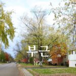 韓国語で「付近」とは？【부근】意味を勉強しよう！