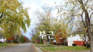 韓国語で「付近」とは？【부근】意味を勉強しよう！