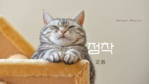 韓国語で「定着」とは?【정착】意味を勉強しよう!