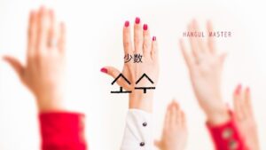 韓国語で「少数」とは?【소수】意味を勉強しよう!