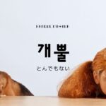 韓国語で「とんでもない」とは?【개뿔】意味を勉強しよう!