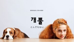 韓国語で「とんでもない」とは?【개뿔】意味を勉強しよう!