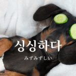 韓国語で「みずみずしい」とは？【싱싱하다】意味を勉強しよう！