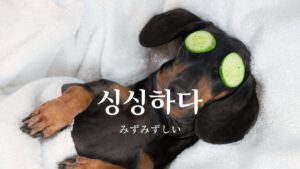 韓国語で「みずみずしい」とは?【싱싱하다】意味を勉強しよう!