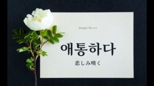 韓国語【애통하다:悲しみ嘆く】意味・活用例「ご愁傷様です」を学ぶ