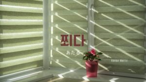 韓国語で「あたる」とは？【쬐다】意味を勉強しよう！