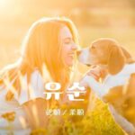 韓国語で「従順/柔順」とは?【유순】意味を勉強しよう!