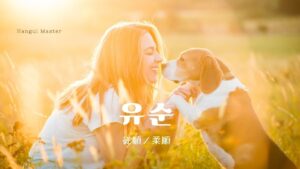 韓国語で「従順/柔順」とは?【유순】意味を勉強しよう!