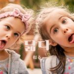 韓国語で「似る」とは?【닮다】意味を勉強しよう!