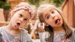 韓国語で「似る」とは？【닮다】意味を勉強しよう！