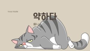 韓国語で「弱い」とは?【약하다】意味を勉強しよう!