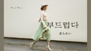 韓国語で「柔らかい」とは?【부드럽다】意味を勉強しよう!