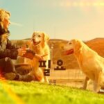 韓国語で「必要」とは？【필요】意味を勉強しよう！