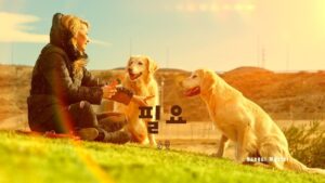 韓国語で「必要」とは？【필요】意味を勉強しよう！