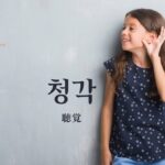 韓国語で「聴覚」とは?【청각】意味を勉強しよう!