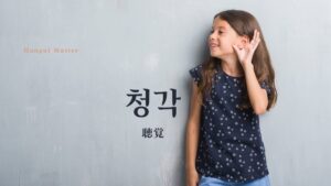 韓国語で「聴覚」とは?【청각】意味を勉強しよう!