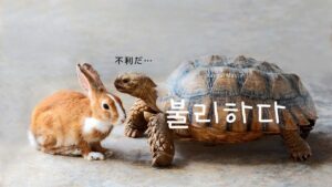 韓国語で「不利だ」とは?【불리하다】意味を勉強しよう!