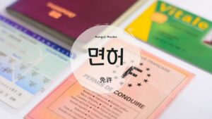 韓国語で「免許」とは？【면허】意味を勉強しよう！