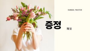韓国語で「贈呈」とは?【증정】意味を勉強しよう!