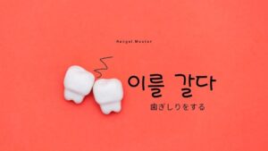 韓国語で「歯ぎしりをする」とは？【이를 갈다】意味を勉強しよう！