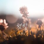 韓国語で「日差し」とは？【햇빛】意味を勉強しよう！