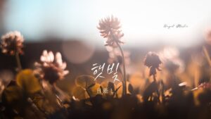 韓国語で「日差し」とは?【햇빛】意味を勉強しよう!