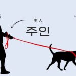 韓国語で「主人・持ち主」とは？【주인】意味を勉強しよう！